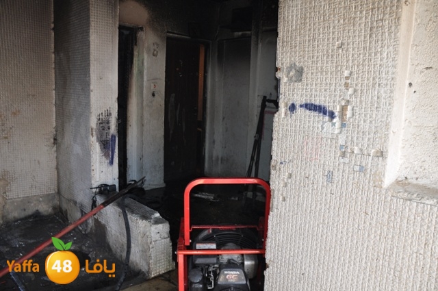 fireshekonatelarab (15).JPG